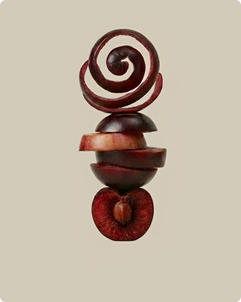 Black Cherry Extract